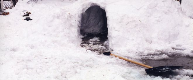 Cinco refugios seguros para seguir construyendo en tiempos de tormenta